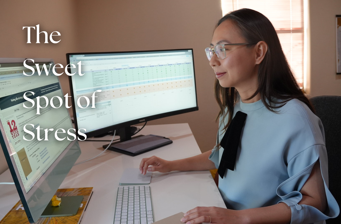 The Sweet Spot of Stress for Optimal Performance